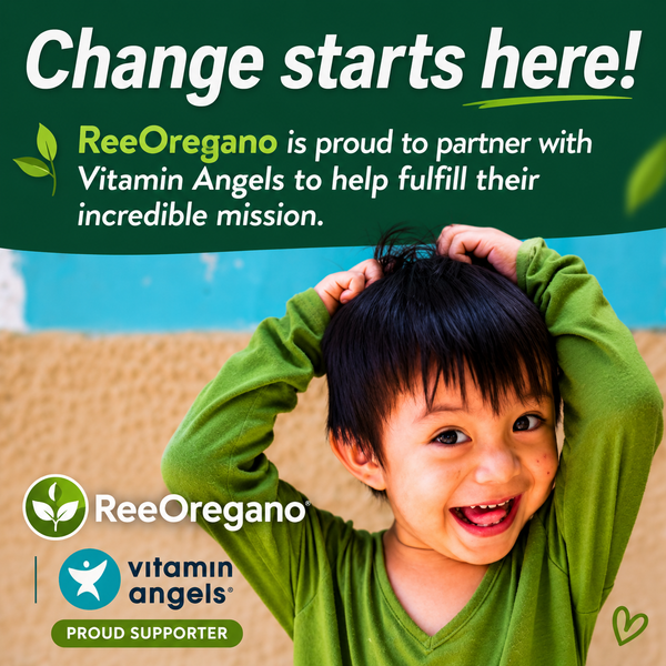PACK OF 3 | Ree Oregano Softgels, 300 Count | 2 in 1 Formulated with Black Seed Oil